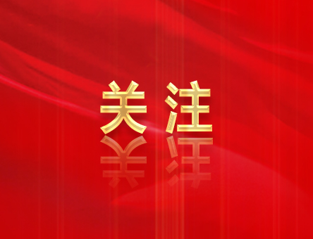 哪些行為屬于不執(zhí)行黨中央決策部署？相關(guān)的處分規(guī)定有哪些？