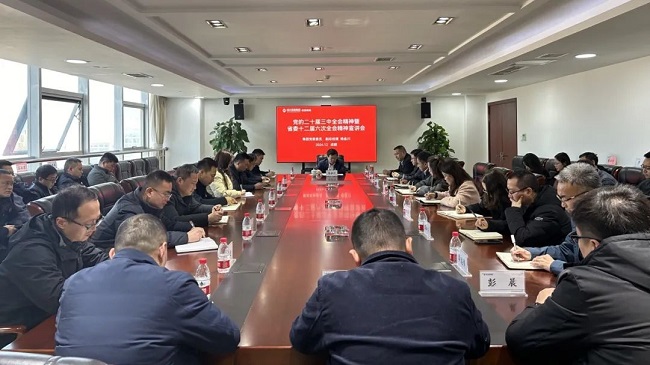 集團(tuán)黨委委員、副總經(jīng)理?xiàng)罱鸫ǖ焦拘v黨的二十屆三中全會(huì)和省委十二屆六次全會(huì)精神